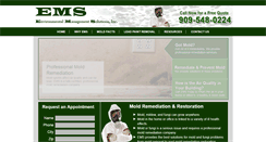 Desktop Screenshot of emsmold.com